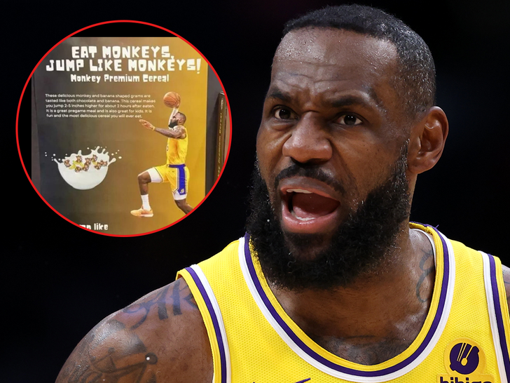 lebron james angry Racist LeBron James Poster