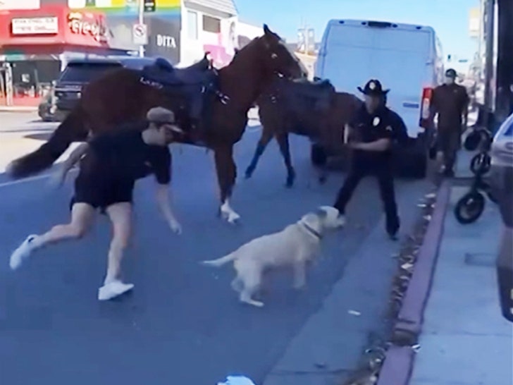 022824_dog_melrose-trying-to-catch-dog2-V2