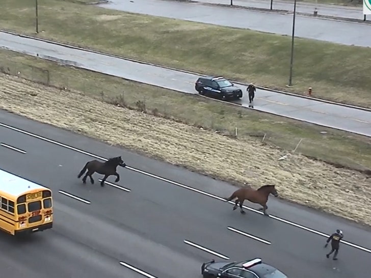 030424-highway-horses-running-primary