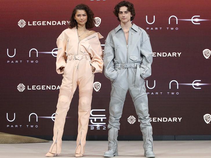 8046735932a84717b5a846acde89ea3e_md timothee zendaya no date swipe