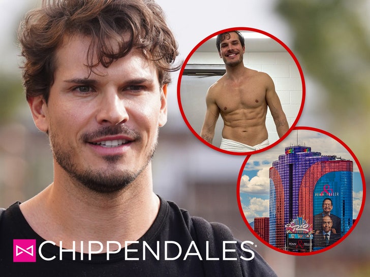 82ab90e85f27454080dc635d80354e49_md chippendales main composite