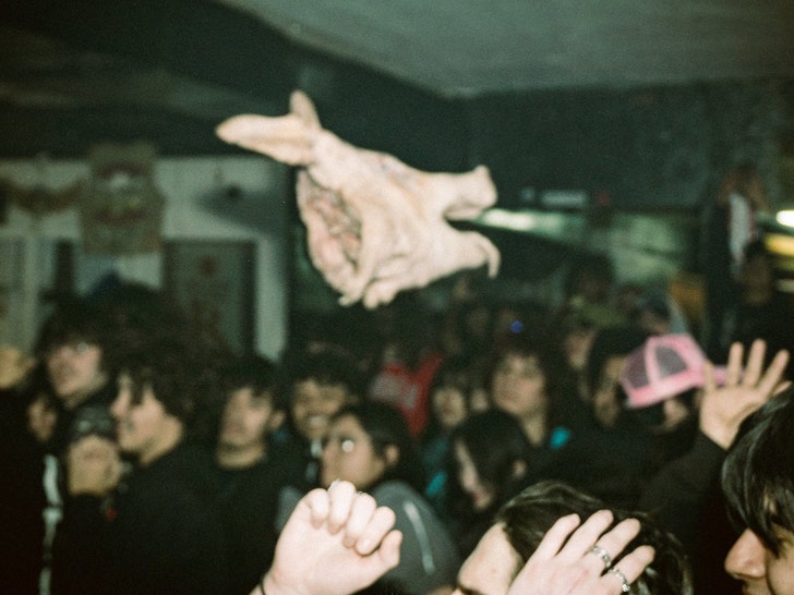 82d185eae84242f39afbedfa551135a8_md pig head Martyrdom show