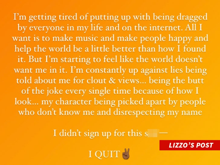 8307ea9037a24bb890dcad264b356ef2_md lizzos post