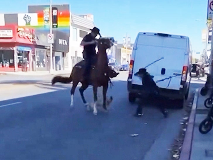 022824_dog_melrose-SG-hitting-dog-V2