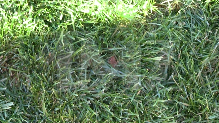 022224_jack_harlow_dog_poop_v2