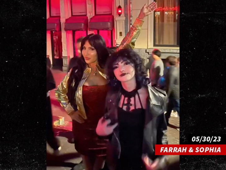 farrah abraham and sophia