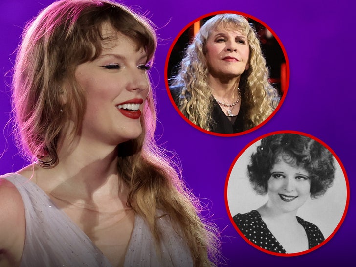 88e5a55707d2410b821441184958cde8_md Taylor Swift Stevie Nicks