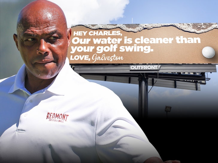 894443d1d76d41e4b7299facfa9040f8_md charles barkley