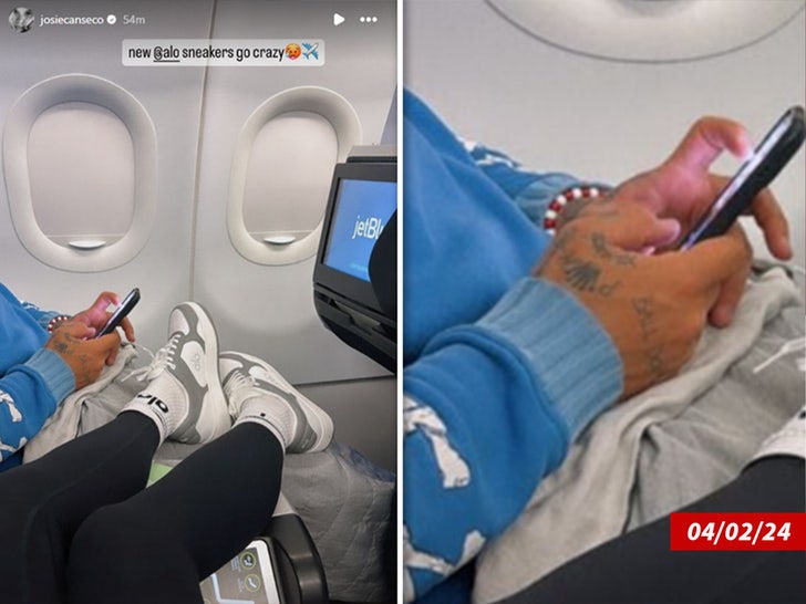 8a053e8b9d7c4cb1a3e086458d9b96b4_md Josie Canseco Plane Side by side swiped