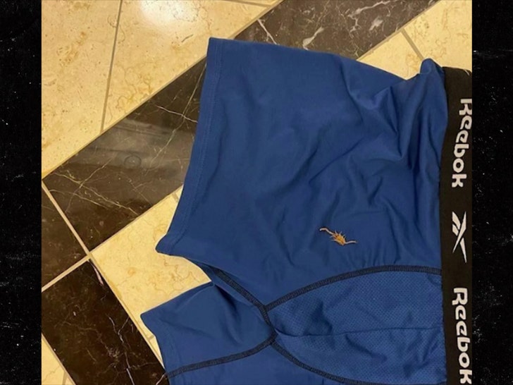 Las Vegas Scorpion Bite