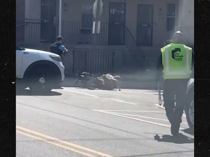 050224-dog-shooting-4