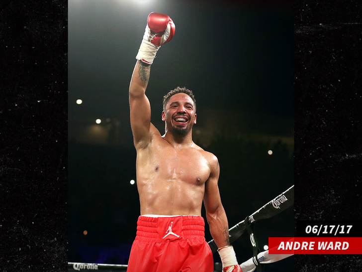 Andre Ward boxing