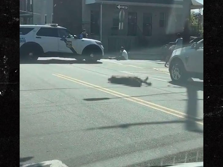 050224-dog-shooting-3-v3