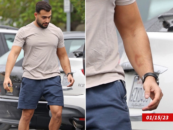 91652bddac254d89891a64ac5ffebf1b_md 0817 sam asghari zoom backgrid 5