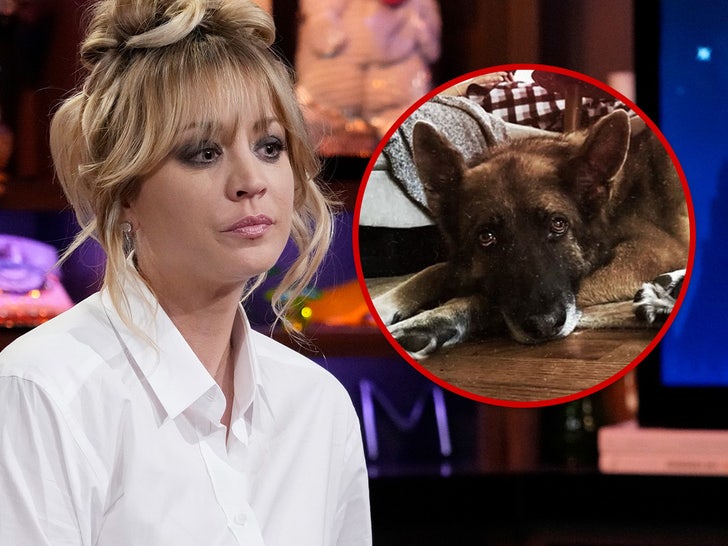973232f14e6148f8afa3b39cb0d22760_md Muere el perro de Kaley Cuoco