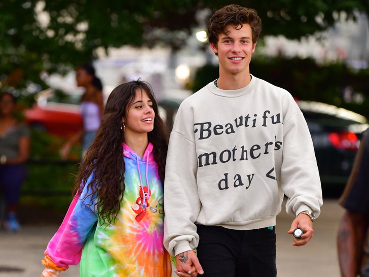 984b02f443ab461c97b71be48c011519_md Shawn Mendes And Camila Cabello Together