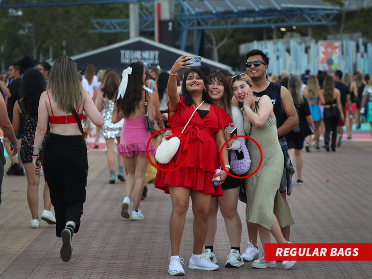 taylor swift regular bags