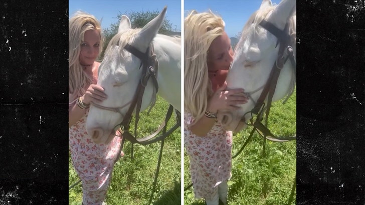 043024_britney_spears_horse_kal