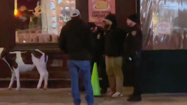 012224-taylor-swift-stalker-kal