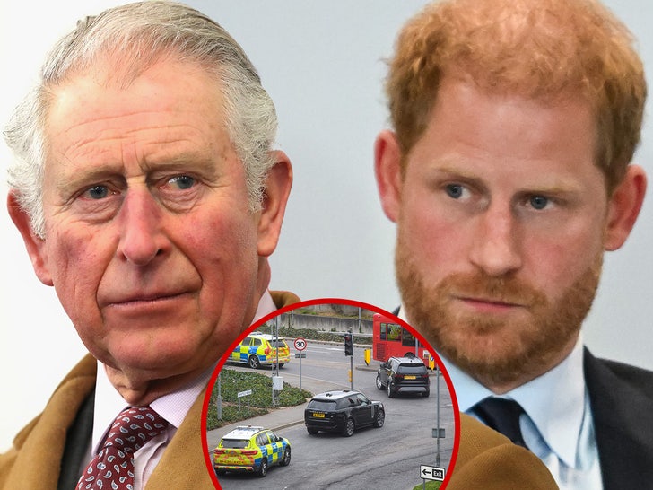 prince harry king charles main