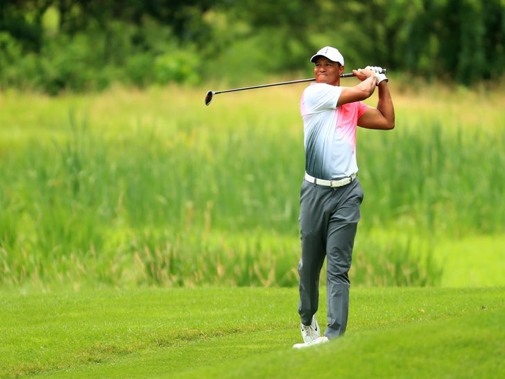 Tiger Woods Swingin' Shots