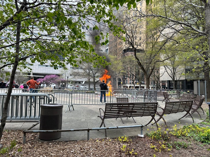 a1208b844dfd4b85889be89790d7d93a_md Self-immolation_manhattan 1