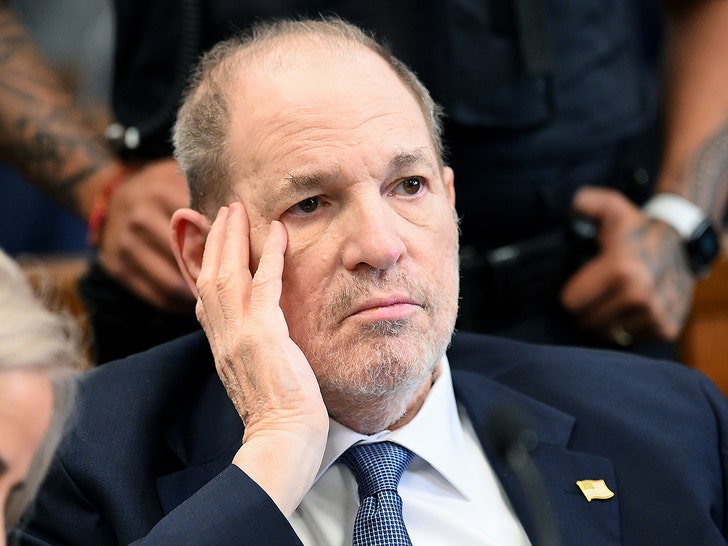 a40917fe19ff43e086332e6854995f13_md Harvey Weinstein