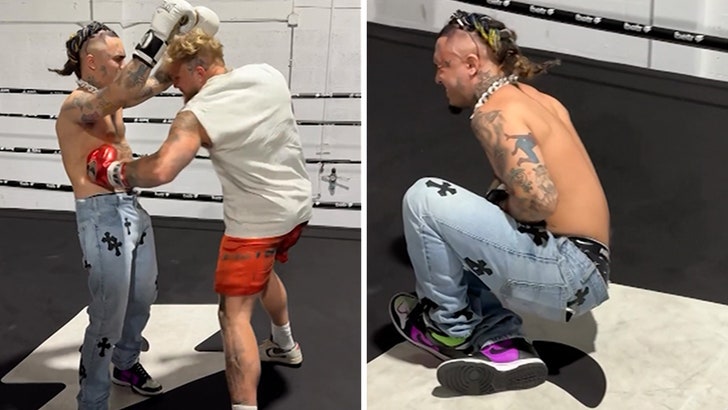 040424_jake_paul-kal-V2