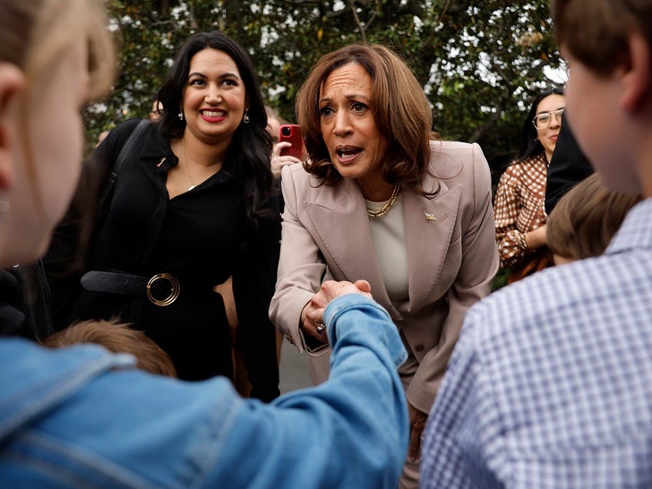a7d1ff950179409ab439b5461b4fd69c_md Kamala Harris Hard At Work