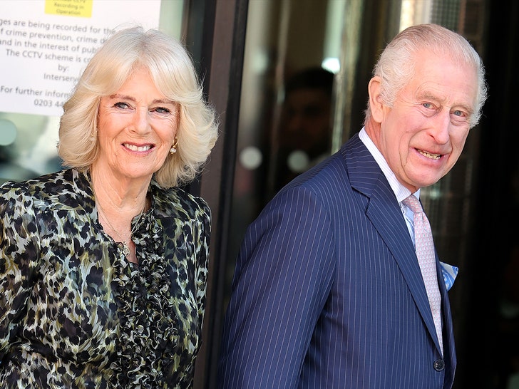 a8fd36be9e2d4828a3a5925ffb2cf004_md king charles