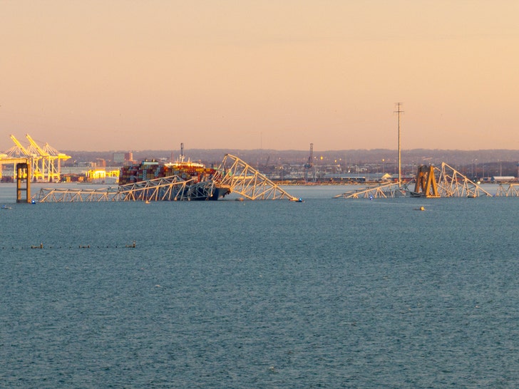 baltimore bridge collapse