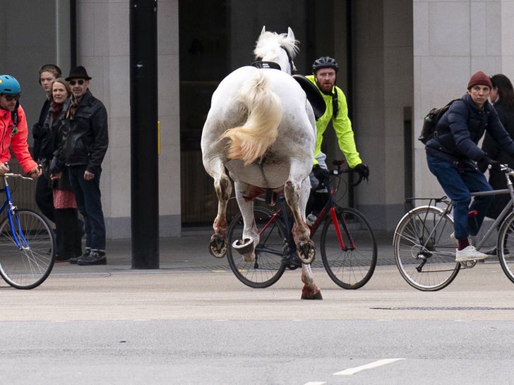 0424-Horses-Loose-Free-London-photos-primary-3