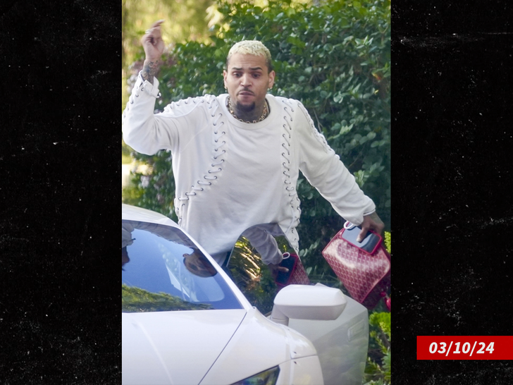 Chris Brown lambo crashed