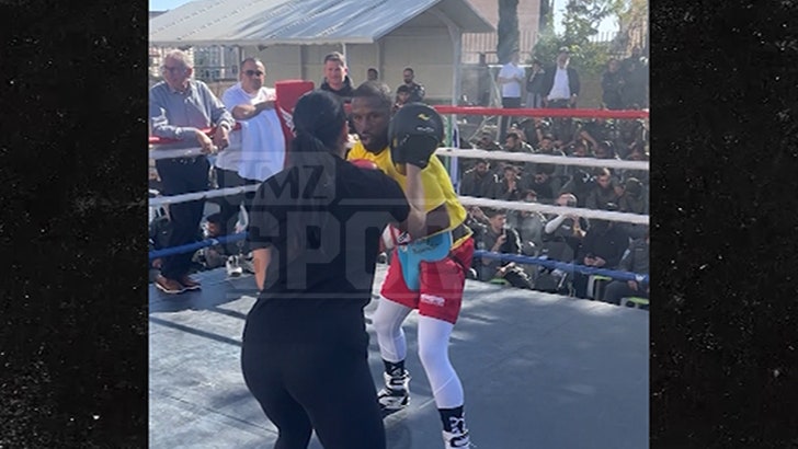 031324_floyd_mayweather_jr-kal