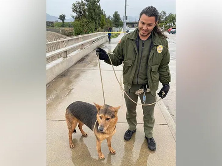 daniel castillo dog rescue 1