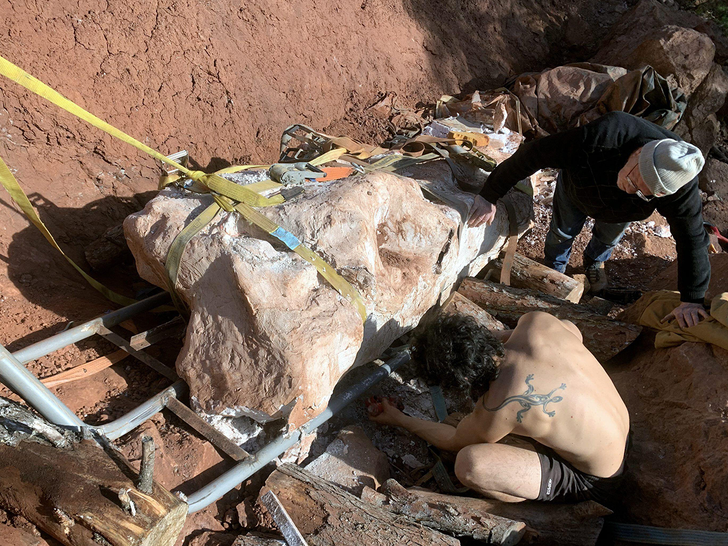 Encuentran restos de un enorme dinosaurio