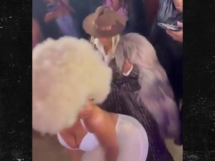 b2296d8f55294ec7af6c2f4d146c9113_md 012824-megan-thee-stallion-monet-primary-v1