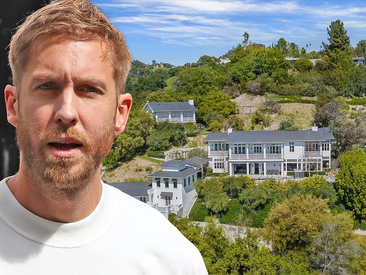 b54153be680f4053a8e69725cbb5d212_md calvin harris house