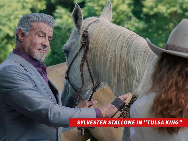 sylvester stallone in tulsa king