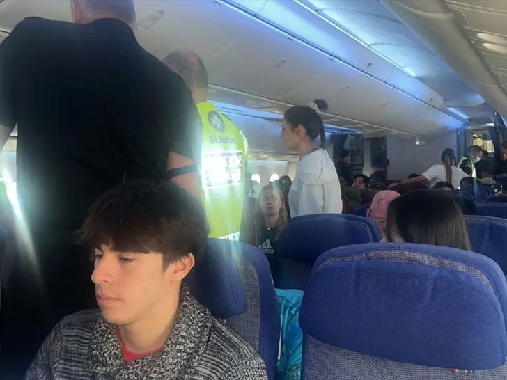 passenger plane nosedives 4