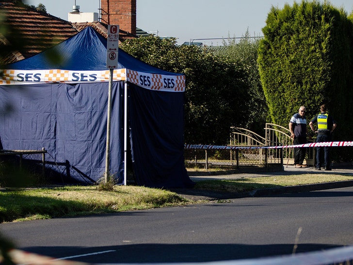 hot air balloon death