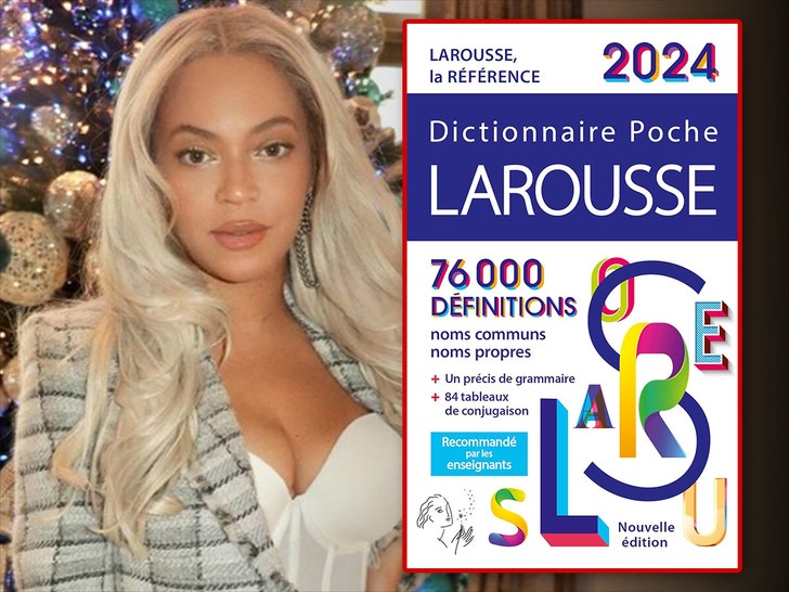 beyonce Larousse insta Collectif