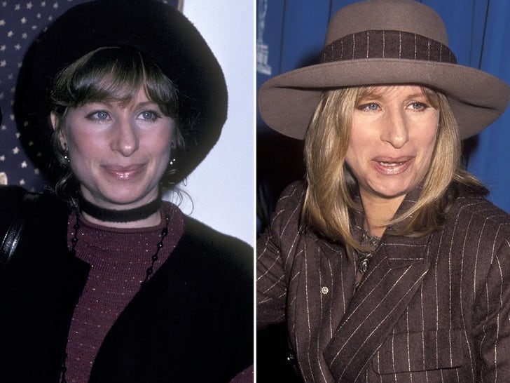 Barbra Streisand Through the Years