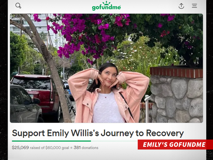 EMILY'S GOFUNDME
