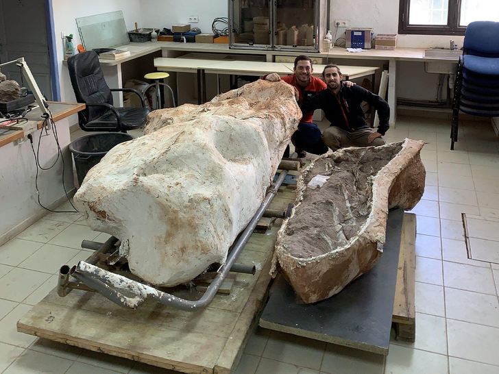 70 million-year-old dinosaur