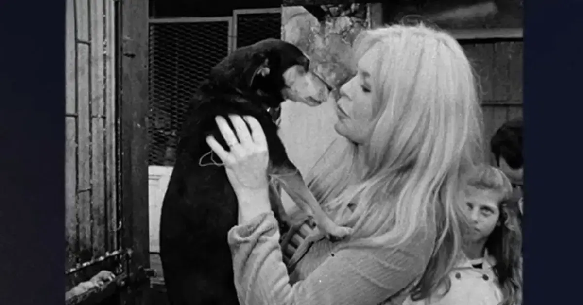 Photo of Brigitte Bardot