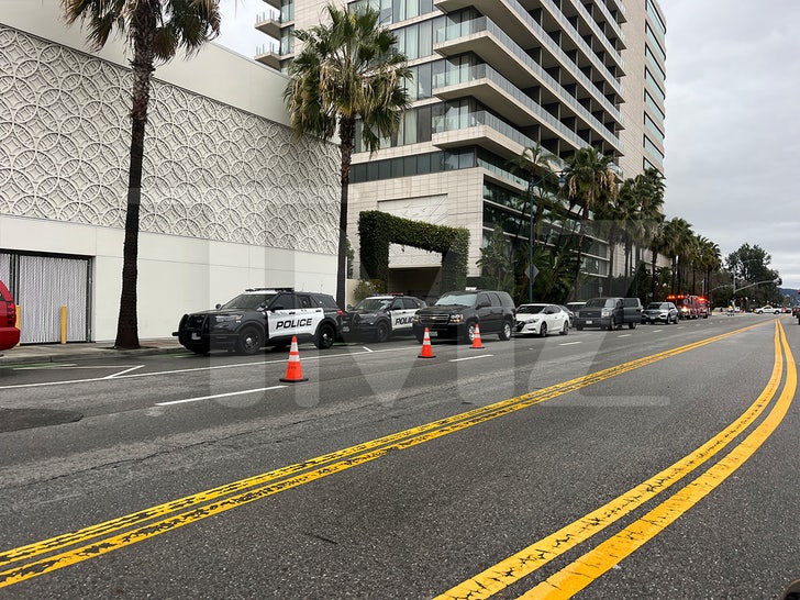 c710dbb9ca074368b49eb21464e79270_md Waldorf Hotel police activity 1