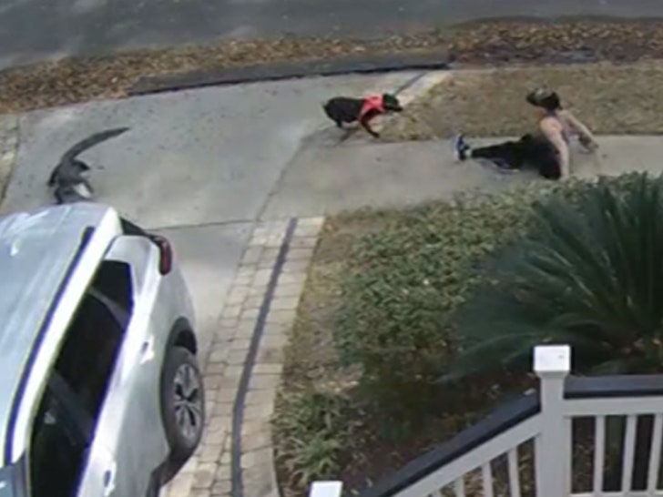 030124-alligator-scare-fall-primary