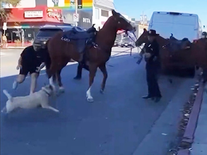 022824_dog_melrose-trying-to-catch-dog-V2