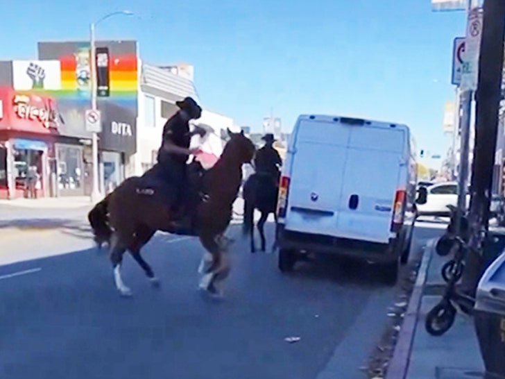 022824_dog_melrose-dog-attatched-horses-legV2